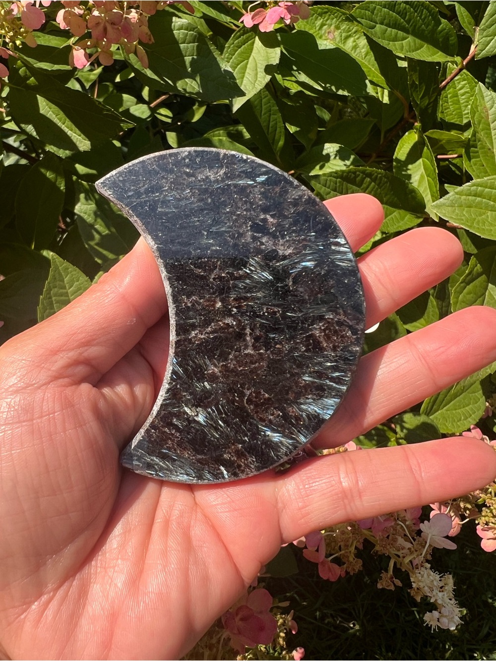 Astrophyllite (1) moon with stand | crystal